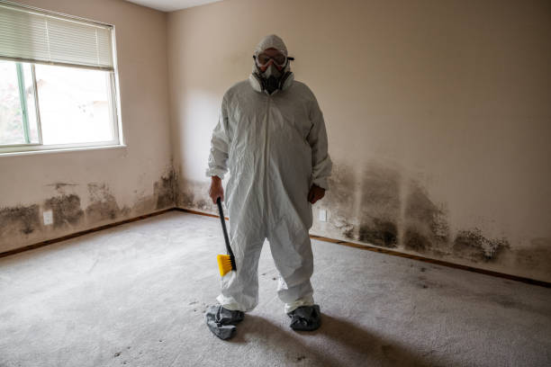 Best Emergency Mold Removal  in Miles City, MT